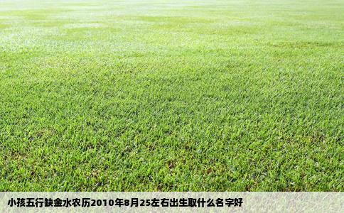 小孩五行缺金水农历2010年8月25左右出生取什么名字好
