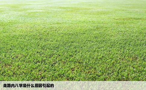 走路内八字是什么原因引起的