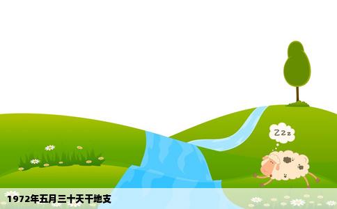 1972年五月三十天干地支
