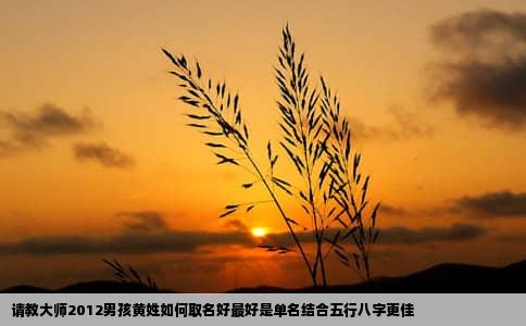 请教大师2012男孩黄姓如何取名好最好是单名结合五行八字更佳