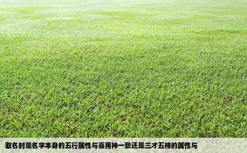 取名时是名字本身的五行属性与喜用神一致还是三才五格的属性与