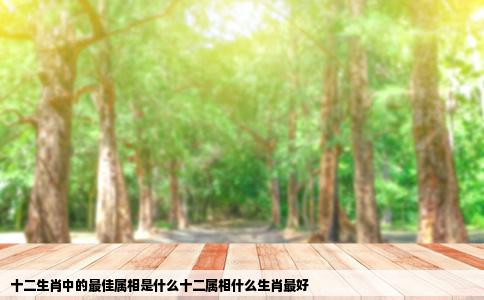 十二生肖中的最佳属相是什么十二属相什么生肖最好