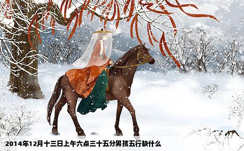 2014年12月十三日上午六点三十五分男孩五行缺什么