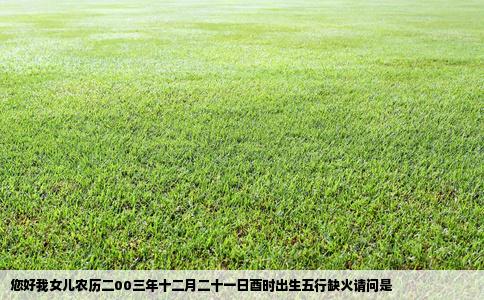 您好我女儿农历二00三年十二月二十一日酉时出生五行缺火请问是
