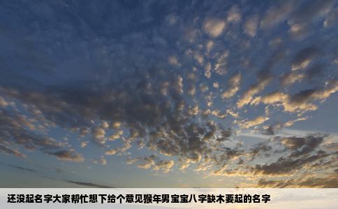 还没起名字大家帮忙想下给个意见猴年男宝宝八字缺木要起的名字