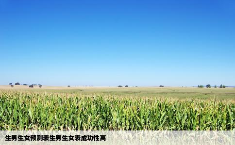 生男生女预测表生男生女表成功性高