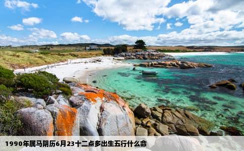 1990年属马阴历6月23十二点多出生五行什么命