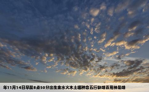 年11月14日早晨8点50分出生金水火木土哪种命五行缺啥喜用神是啥
