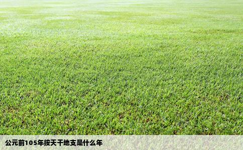 公元前105年按天干地支是什么年