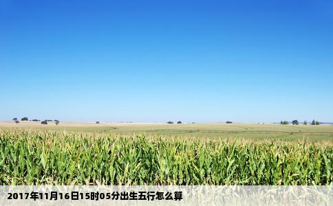 2017年11月16日15时05分出生五行怎么算