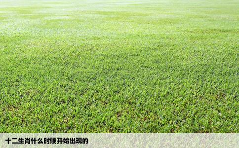 十二生肖什么时候开始出现的