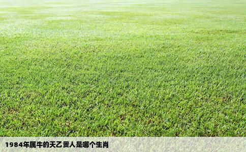 1984年属牛的天乙贵人是哪个生肖