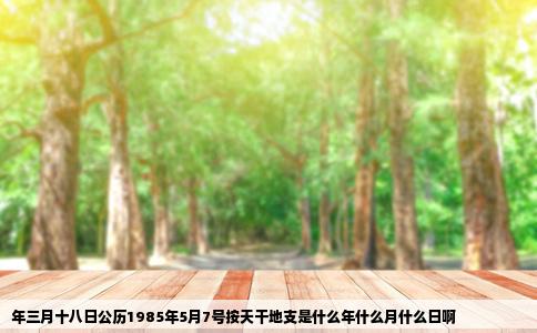 年三月十八日公历1985年5月7号按天干地支是什么年什么月什么日啊