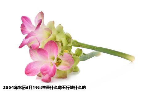 2004年农历6月19出生是什么命五行缺什么的