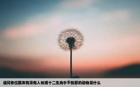 请问各位朋友有没有人知道十二生肖中不怕邪的动物是什么