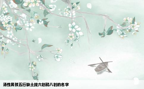 汤性男孩五行缺土找六划和八划的名字