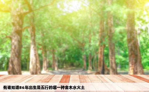 有谁知道86年出生是五行的哪一种金木水火土