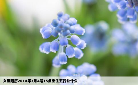 女宝阳历2014年3月4号15点出生五行缺什么