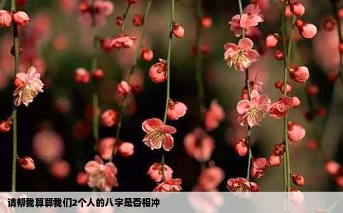 请帮我算算我们2个人的八字是否相冲