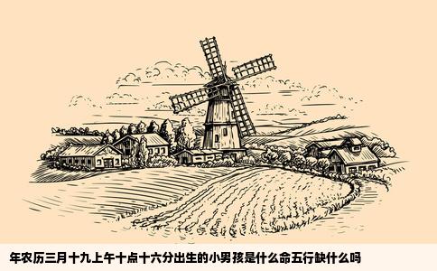 年农历三月十九上午十点十六分出生的小男孩是什么命五行缺什么吗