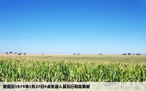 我阳历1979年1月27日9点生请人算五行和命象谢