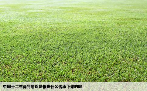 中国十二生肖到底都是根据什么传承下来的呢