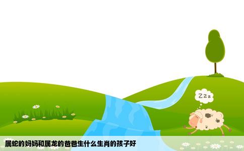 属蛇的妈妈和属龙的爸爸生什么生肖的孩子好