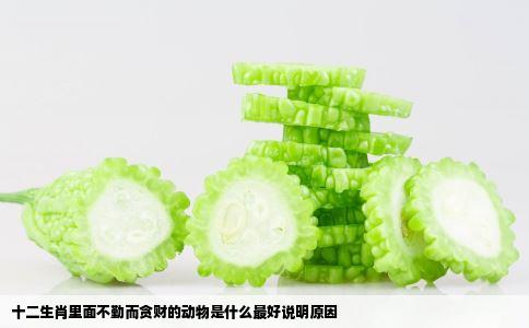 十二生肖里面不勤而贪财的动物是什么最好说明原因