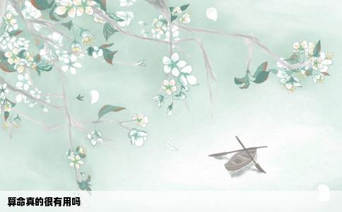 算命真的很有用吗