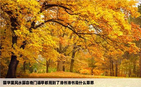 国学里风水算命奇门遁甲都用到了洛书洛书是什么意思