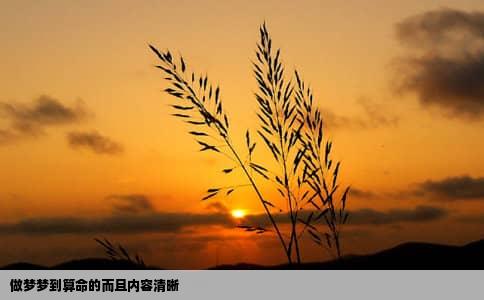 做梦梦到算命的而且内容清晰