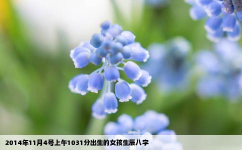 2014年11月4号上午1031分出生的女孩生辰八字