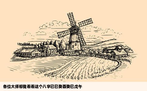 各位大师帮我看看这个八字已巳癸酉癸巳戊午