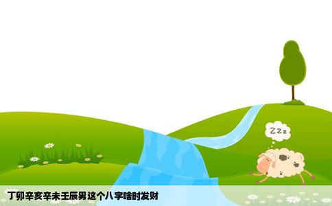 丁卯辛亥辛未壬辰男这个八字啥时发财