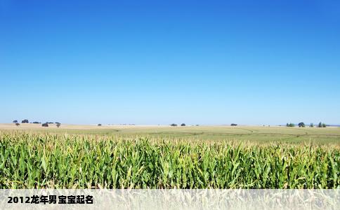 2012龙年男宝宝起名