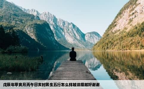 戊辰年甲寅月丙午日亥时男生五行怎么样越详细越好谢谢