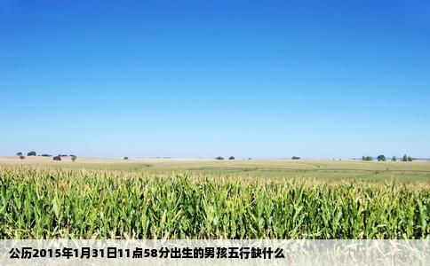 公历2015年1月31日11点58分出生的男孩五行缺什么
