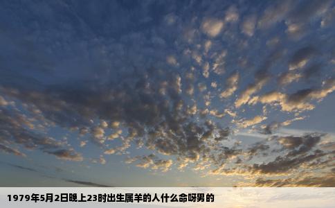 1979年5月2日晚上23时出生属羊的人什么命呀男的