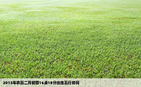 2015年农历二月初四16点18分出生五行如何