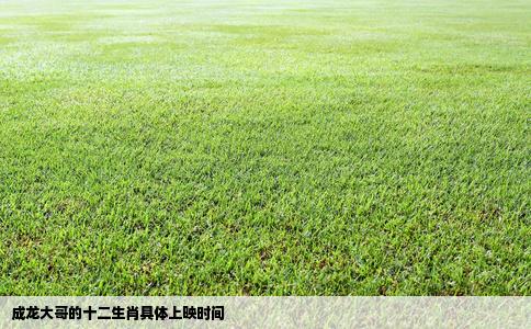 成龙大哥的十二生肖具体上映时间
