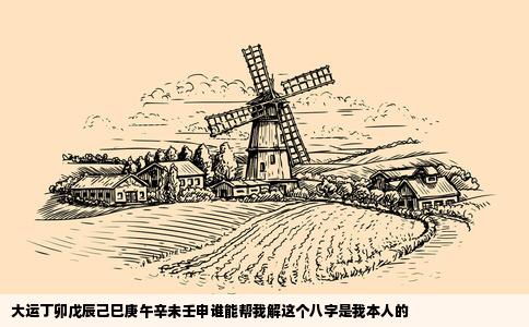 大运丁卯戊辰己巳庚午辛未壬申谁能帮我解这个八字是我本人的