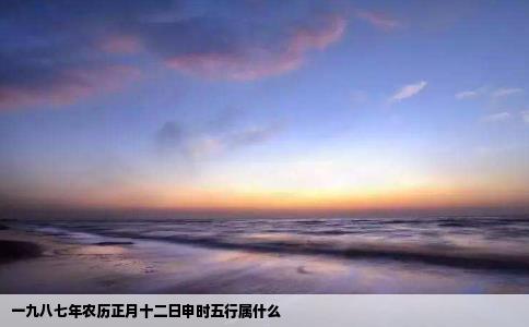 一九八七年农历正月十二日申时五行属什么