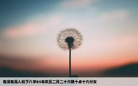 有没有高人批下八字85年农历二月二十六晚十点十六分女