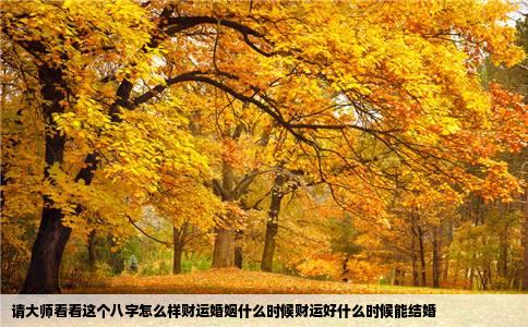请大师看看这个八字怎么样财运婚姻什么时候财运好什么时候能结婚