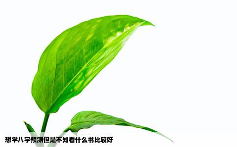 想学八字预测但是不知看什么书比较好