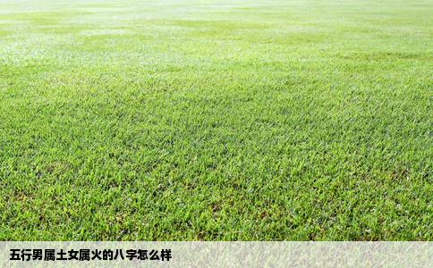 五行男属土女属火的八字怎么样