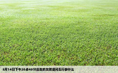 5月14日下午20点40分出生的女孩请问五行缺什么