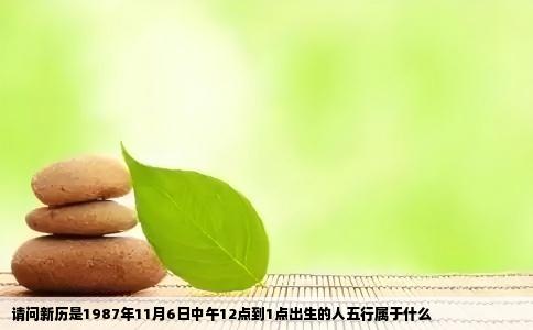 请问新历是1987年11月6日中午12点到1点出生的人五行属于什么