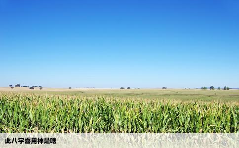 此八字喜用神是啥