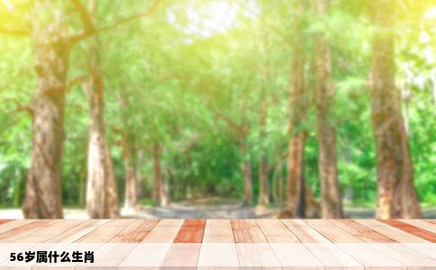 56岁属什么生肖